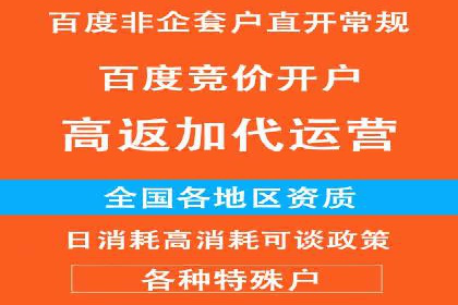 解读百度推广代运营公司运营策略